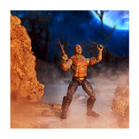 Load image into Gallery viewer, Marvel Legends Guardians of the Galaxy Vol. 2 Wave: Drax Action Figure (Titus BAF)
