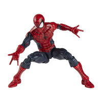 Load image into Gallery viewer, Marvel Legends 12 Inch: Spider-Man

