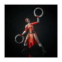 Load image into Gallery viewer, Marvel Legends Black Panther Wave: Marvel&#39;s Nakia (Okoye BAF)
