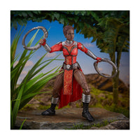 Load image into Gallery viewer, Marvel Legends Black Panther Wave: Marvel&#39;s Nakia (Okoye BAF)
