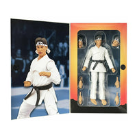 Load image into Gallery viewer, The Karate Kid Daniel Larusso Action Figure
