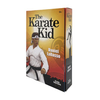 Load image into Gallery viewer, The Karate Kid Daniel Larusso Action Figure
