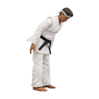 Load image into Gallery viewer, The Karate Kid Daniel Larusso Action Figure
