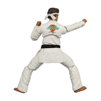 Load image into Gallery viewer, The Karate Kid Daniel Larusso Action Figure
