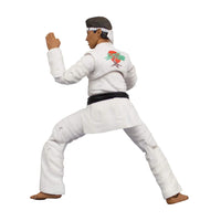 Load image into Gallery viewer, The Karate Kid Daniel Larusso Action Figure
