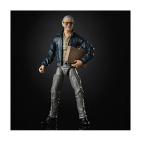 Load image into Gallery viewer, Marvel Comics 80th Anniversary Marvel Legends Stan Lee
