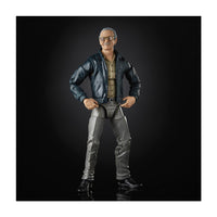 Load image into Gallery viewer, Marvel Comics 80th Anniversary Marvel Legends Stan Lee
