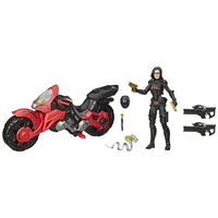 Load image into Gallery viewer, GI Joe Classified Exclusive Special Missions: Cobra Island Baroness with Cobra C.O.I.L.
