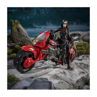 Load image into Gallery viewer, GI Joe Classified Exclusive Special Missions: Cobra Island Baroness with Cobra C.O.I.L.
