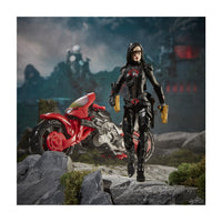 Load image into Gallery viewer, GI Joe Classified Exclusive Special Missions: Cobra Island Baroness with Cobra C.O.I.L.
