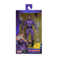 Load image into Gallery viewer, NECA Defenders of the Earth The Phantom Action Figure
