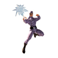 Load image into Gallery viewer, NECA Defenders of the Earth The Phantom Action Figure
