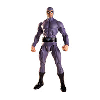 Load image into Gallery viewer, NECA Defenders of the Earth The Phantom Action Figure
